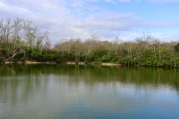Fototapeta premium The quiet pond in the park on a sunny day.