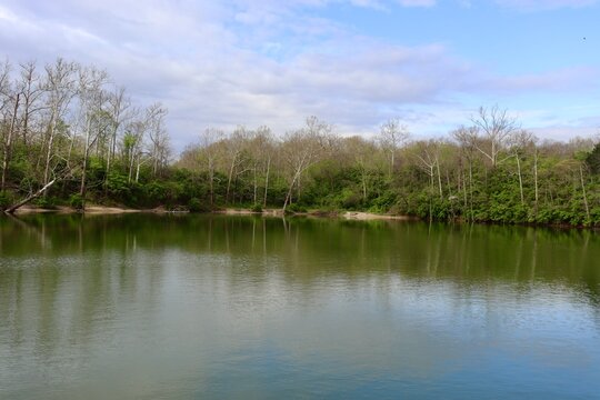 The quiet pond in the park on a sunny day.