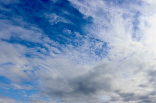 The white cloud in the blue sky.