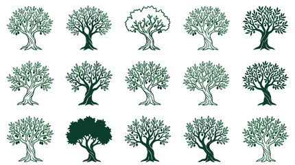 Obraz premium Olive tree icon set in various flat vector styles