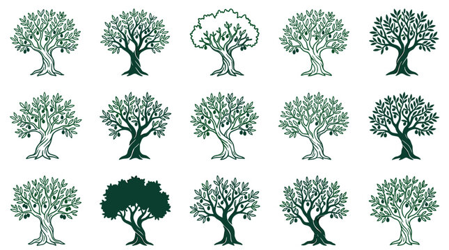 Olive tree icon set in various flat vector styles