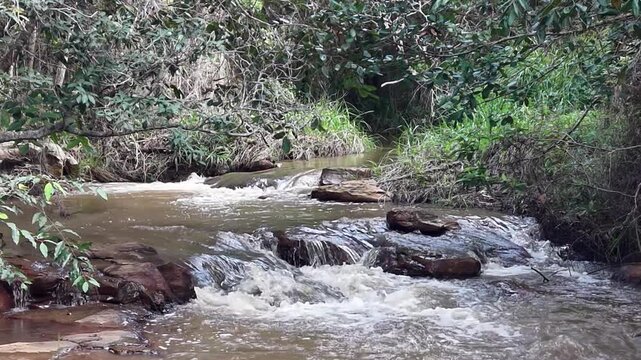 V&iacute;deo de queda d'&aacute;gua natural correndo sobre pedras escuras cercada por vegeta&ccedil;&atilde;o densa de floresta tropical no Parque Nacional da Chapada Diamantina, Bahia, Brasil.