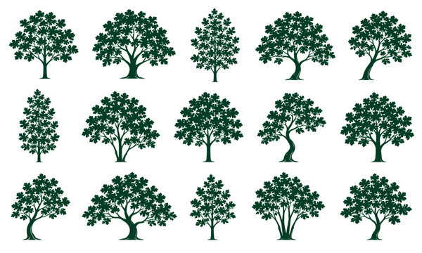 Green maple tree silhouettes collection for nature and landscape design