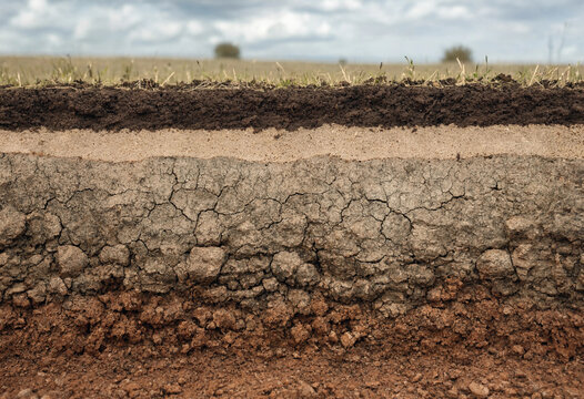 Cross section of earth showing soil layers with grass on dark brown organic matter, sandy clay, and rocky gravel, geological strata view