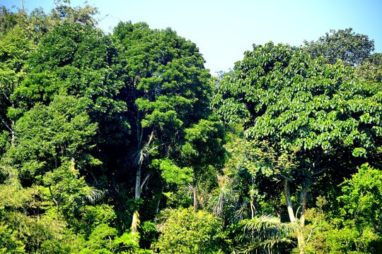 THE BEAUTY OF THE HILLS IN THE VILLAGE OF THE HILLS AT THE FOOT OF MOUNTAIN UNGARAN