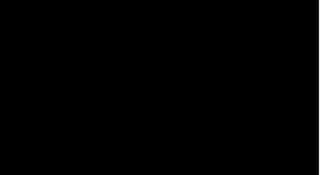 Minimalist split screen transition with animation black and white vertical bars