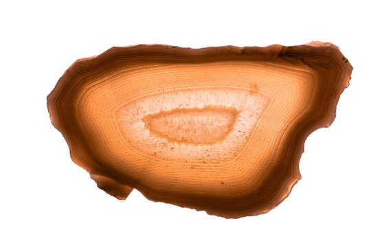 Closeup slice of natural agate stone on white background