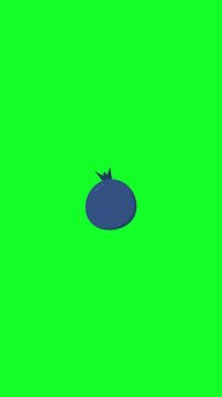 Blueberry Fruit Green Screen Animation