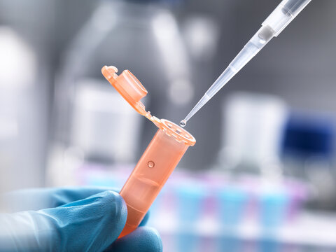 Scientist pipetting a sample into a eppendorf tube