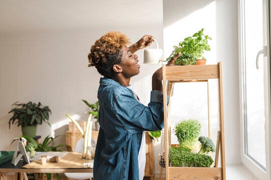 Young woman watering green plants on shelf at home