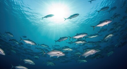 Fototapeta premium School of Jack Fish Swimming in Clear Blue Ocean Water with Bright Sun Rays Filtering from Surface
