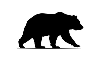  Bear, Bear Silhouette © Sohel