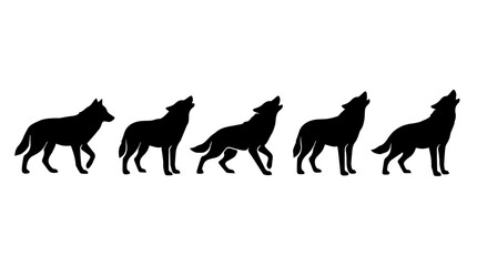  Silhouette set of wolf howling, walking, sitting on white paper textured © Sohel