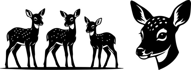 baby deer. © Sohel
