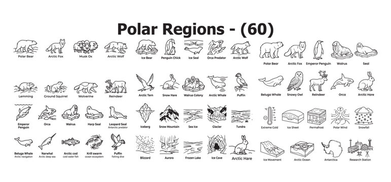 Polar regions fauna icons set arctic antarctic wildlife animals and ecosystem graphics