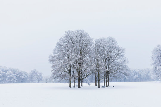 Empty snow-covered park in winter