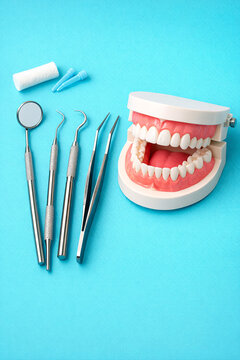 A set of dental instruments arranged around a model of a mouth with teeth.