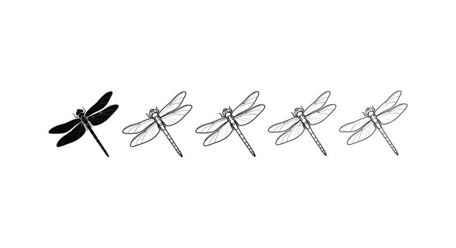 Five dragonflies flying in a sequence illustration