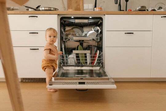 Curiosity and learning while helping with the kitchen dishwasher