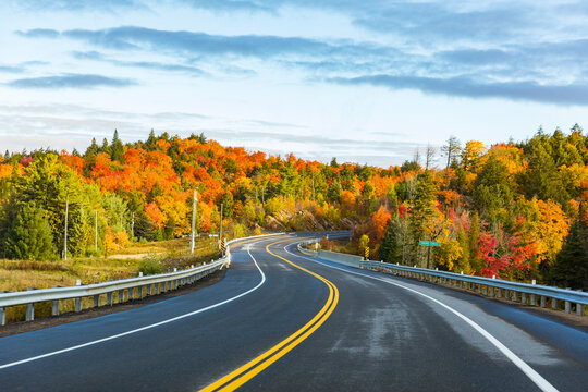 Canada, Ontario, main road through colorful trees in the Algonquin park area