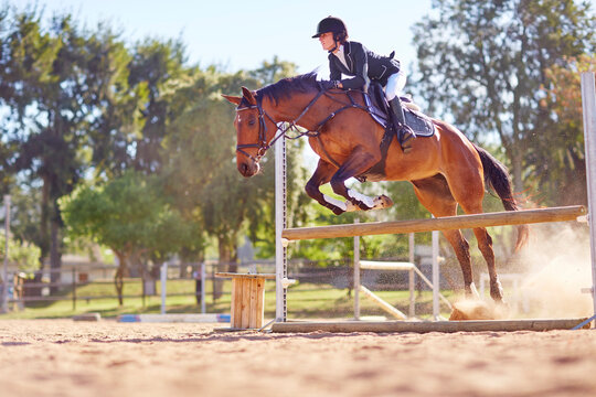 Young woman on horse crossing obstacle on course