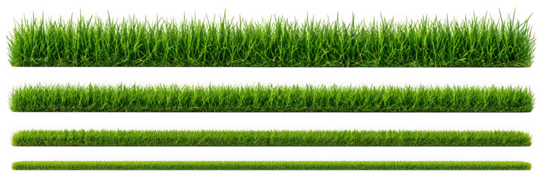 Collection of green grass borders, seamless horizontally, isolated on white background. 3D render. 3D illustration.