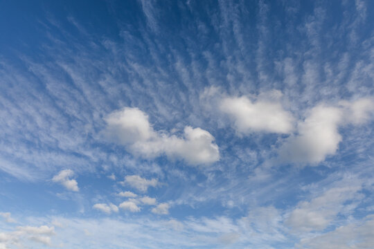Lines of white fluffy clouds in a blue sky in Norfolk UK