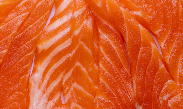 Fresh Raw Salmon Fillet Texture Background,Macro,A high-quality close-up texture shot of vibrant, fresh raw salmon slices, showcasing the natural marbled fat patterns and deep orange-pink color,