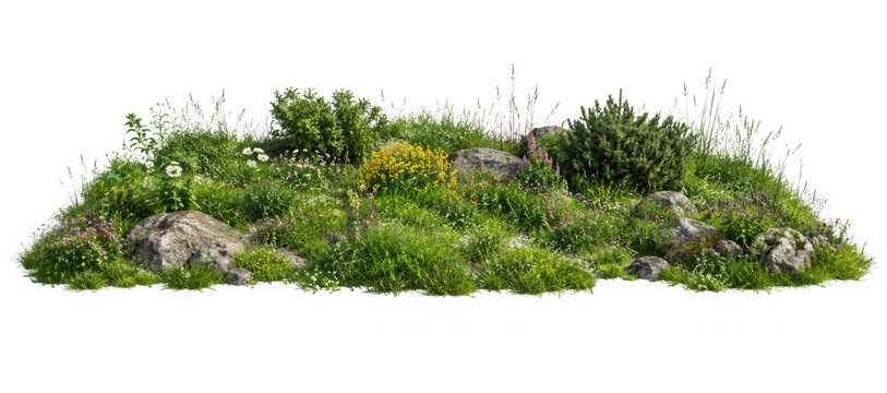 foreground flower gardens and meadows on a transparent background.