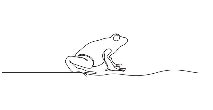 One Line Drawing Frog Animation for Minimalist Nature Concept Continuous Line Art Frog Motion Graphic on White Background, Minimalist one line drawing of a leaping frog in black and white, Frog 