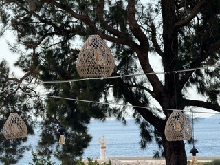 Wicker lanterns hang in trees by the sea with lighthouse in background © dvoevnore
