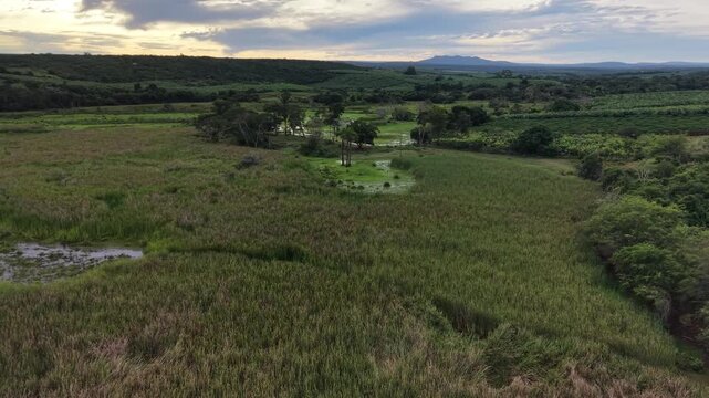 V&iacute;deo de drone mostrando o leito do Rio Utinga com &aacute;reas alagadas, cercado por vegeta&ccedil;&atilde;o de mata nativa preservada em contraste com uma vasta planta&ccedil;&atilde;o de banana, Chapada Diamantina, Bahia, Brasil.