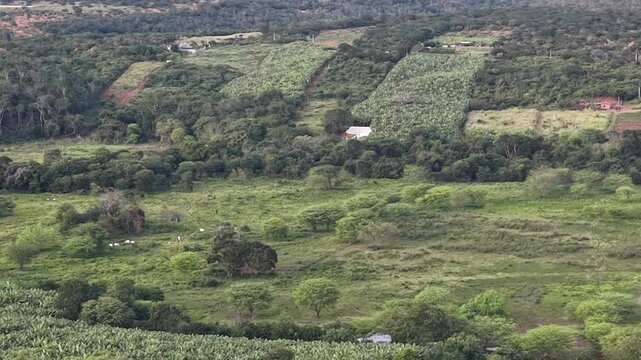 V&iacute;deo de drone mostrando o leito do Rio Utinga com &aacute;reas alagadas, cercado por vegeta&ccedil;&atilde;o de mata nativa preservada em contraste com uma vasta planta&ccedil;&atilde;o de banana, Chapada Diamantina, Bahia, Brasil.