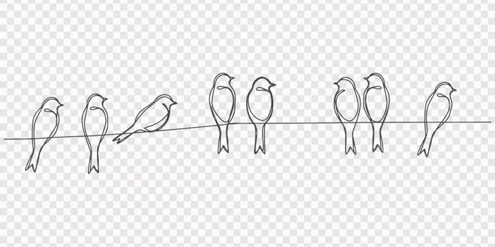 Seven birds sitting on a wire in a simple line drawing style together. birds sitting on a branch, symbolizing love, transparent background, Abstract birds on branches continuous one line drawing pro.