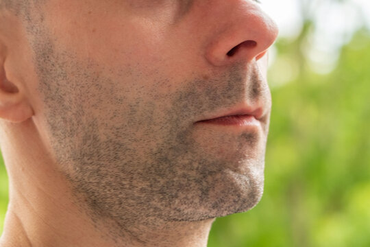Close up profile of a man with stubble and short beard, skin texture, nose and lips, blurred green nature background, male grooming concept, outdoor portrait