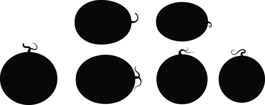 Fresh watermelon fruit oval and round silhouette vector icon collection set with curly vine stem for summer juice design.