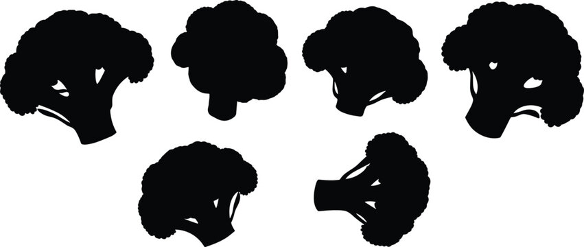 Fresh green broccoli vegetable silhouette vector icon collection set for healthy organic vegan food grocery market menu design.
