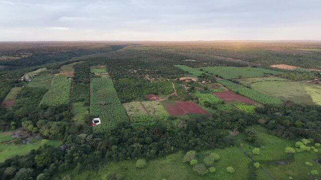 V&iacute;deo de drone mostrando o leito do Rio Utinga com &aacute;reas alagadas, cercado por vegeta&ccedil;&atilde;o de mata nativa preservada em contraste com uma vasta planta&ccedil;&atilde;o de banana, Chapada Diamantina, Bahia, Brasil.