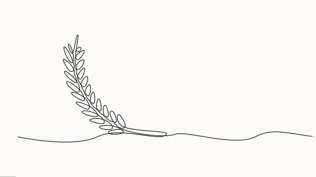 Animated self drawing of Ears of wheat one continuous line drawing. Fall harvest line art. Fresh staple food concept for breakfast cereal icon. Continuous line self draw animated. Full length motion.