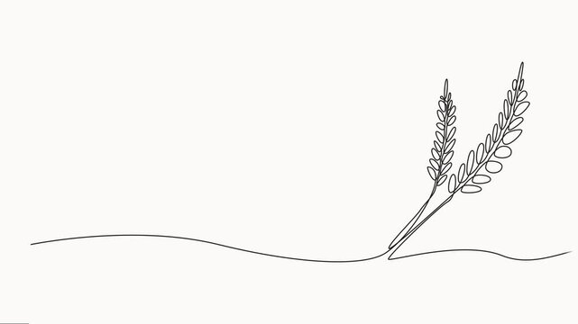 Animated self drawing of Ears of wheat one continuous line drawing. Fall harvest line art. Fresh staple food concept for breakfast cereal icon. Continuous line self draw animated. Full length motion.