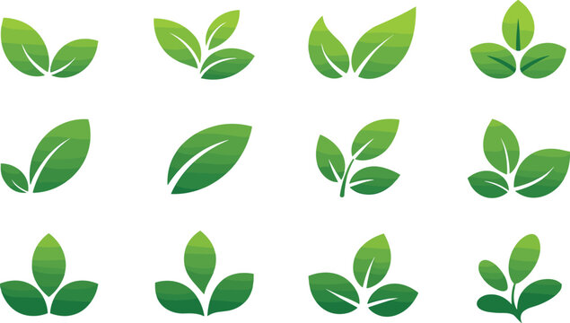 Minimalist Green Leaf Vector Icon Set with Modern Gradient Eco Symbols for Corporate Branding, Web Applications, and Organic Product Packaging Designs