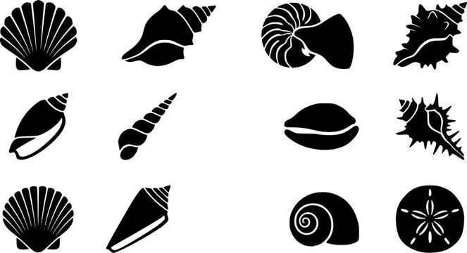 Sea shell silhouette icon set, flat black glyph style, pure white background