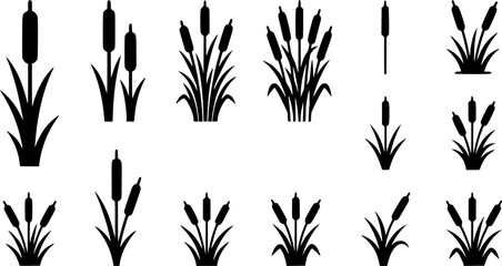 Obraz premium Cattail plant Glyph Icons – Clean Nature Silhouette Collection