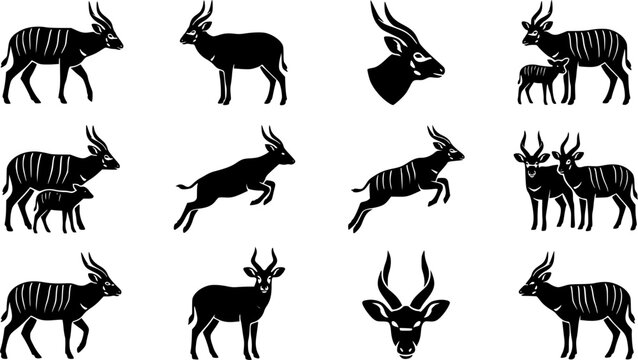 Bongo animal silhouette icon set, flat black glyph style, pure white background