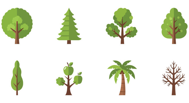 Collection Of Various Tree Types Flat Vector Illustration On White Background