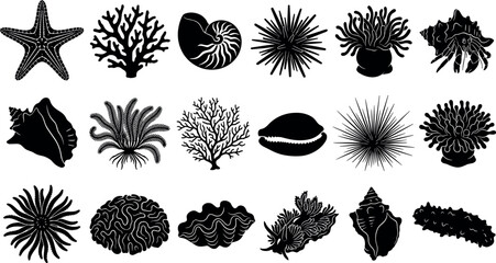 Marine Life and Underwater Ocean Organisms Silhouette Icon Set Featuring Sea Shells Coral Reefs Starfish and AnemonesMarine Life and Underwater Ocean Organisms Silhouette Icon Set Featuring Sea Shells © Abu Siddik