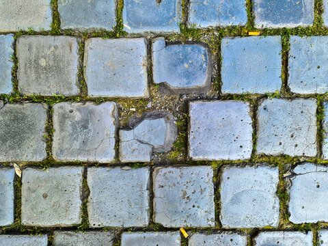 Old stone pavement with grass growing between blocks