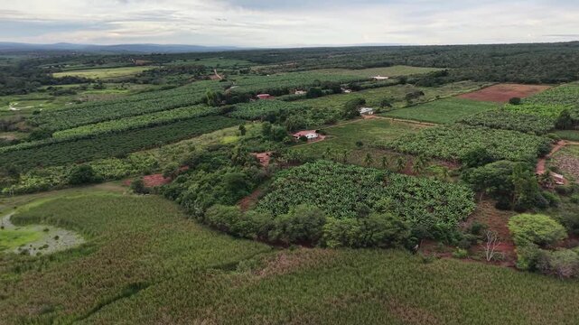 V&iacute;deo de drone mostrando o leito do Rio Utinga com &aacute;reas alagadas, cercado por vegeta&ccedil;&atilde;o de mata nativa preservada em contraste com uma vasta planta&ccedil;&atilde;o de banana, Chapada Diamantina, Bahia, Brasil.