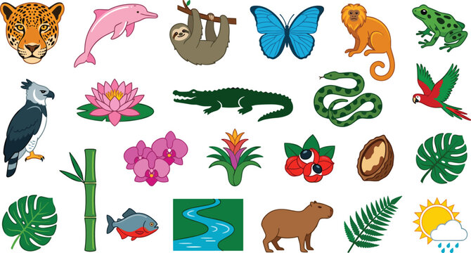 Amazon rainforest animals and tropical flora icon set vector illustration featuring wild jungle wildlife exotic flowers leaves isolated on white background