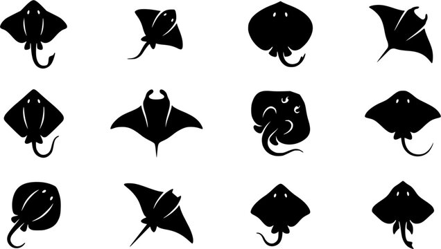 Skate fish silhouette icon set, flat black glyph style, pure white background